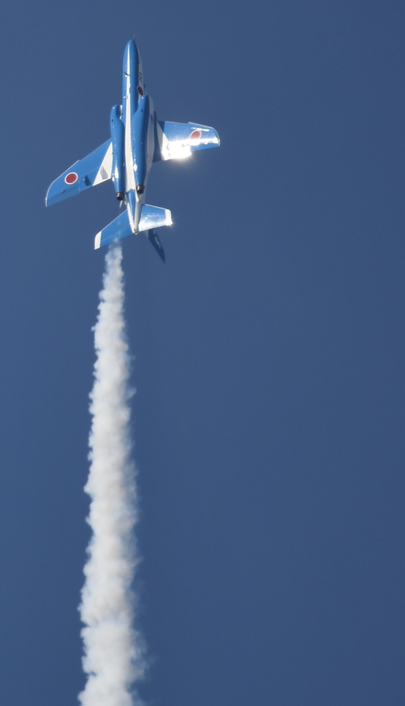 こっちのブルーも良いね～♪。