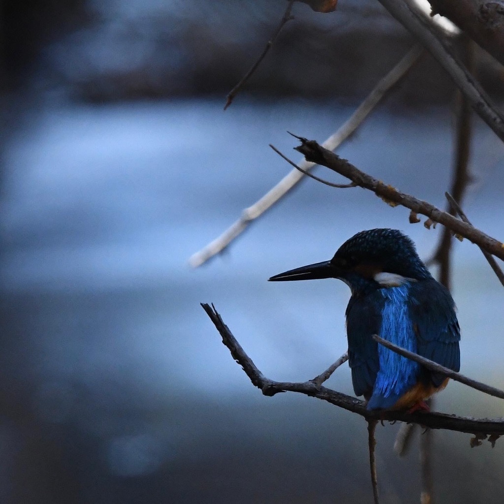 C458A4翡翠 (^o^)丿