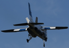 こっちのブルーも良いね～♪。