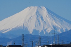 富士さん ☆(^^)☆
