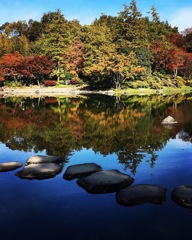 国営昭和記念公園
