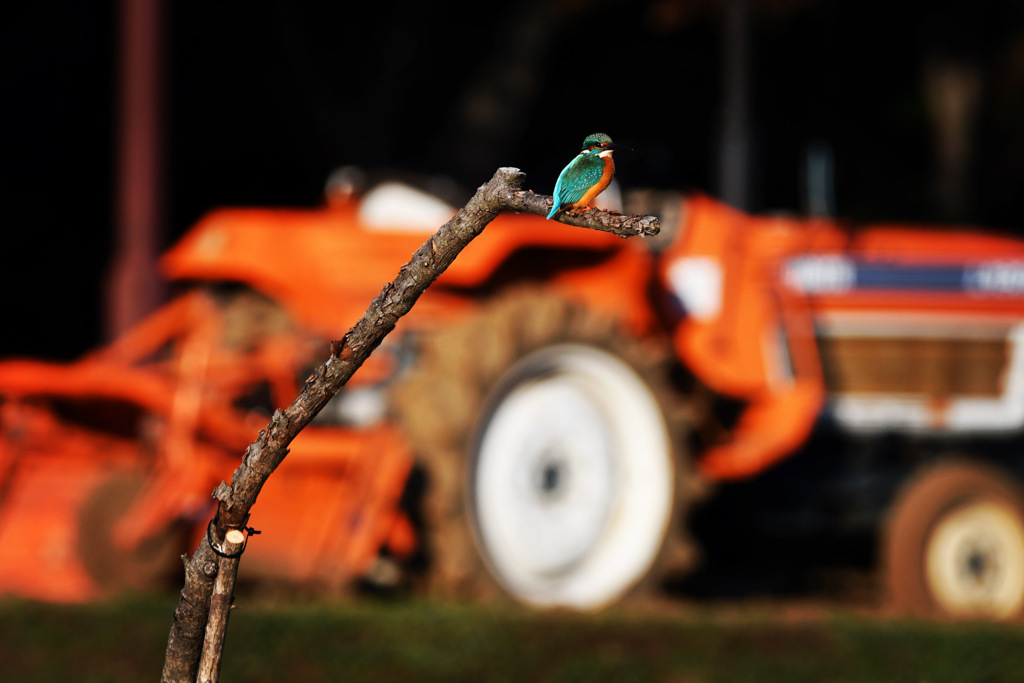 トラクター ☆(^^)☆