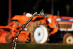 トラクター ☆(^^)☆