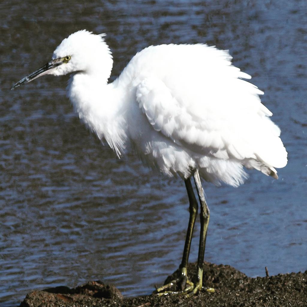 さぶそう ～ っ。