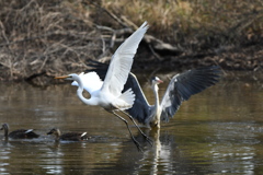 お初ショット ～♬。