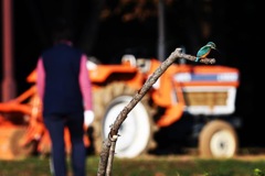 とある朝の光景 (^_-)-☆