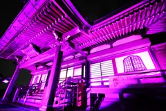 ピンクのお寺さん (*☻-☻*)