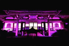 ピンクのお寺 （╹◡╹）♡