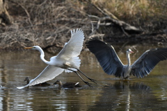 お初ショット ～♬。