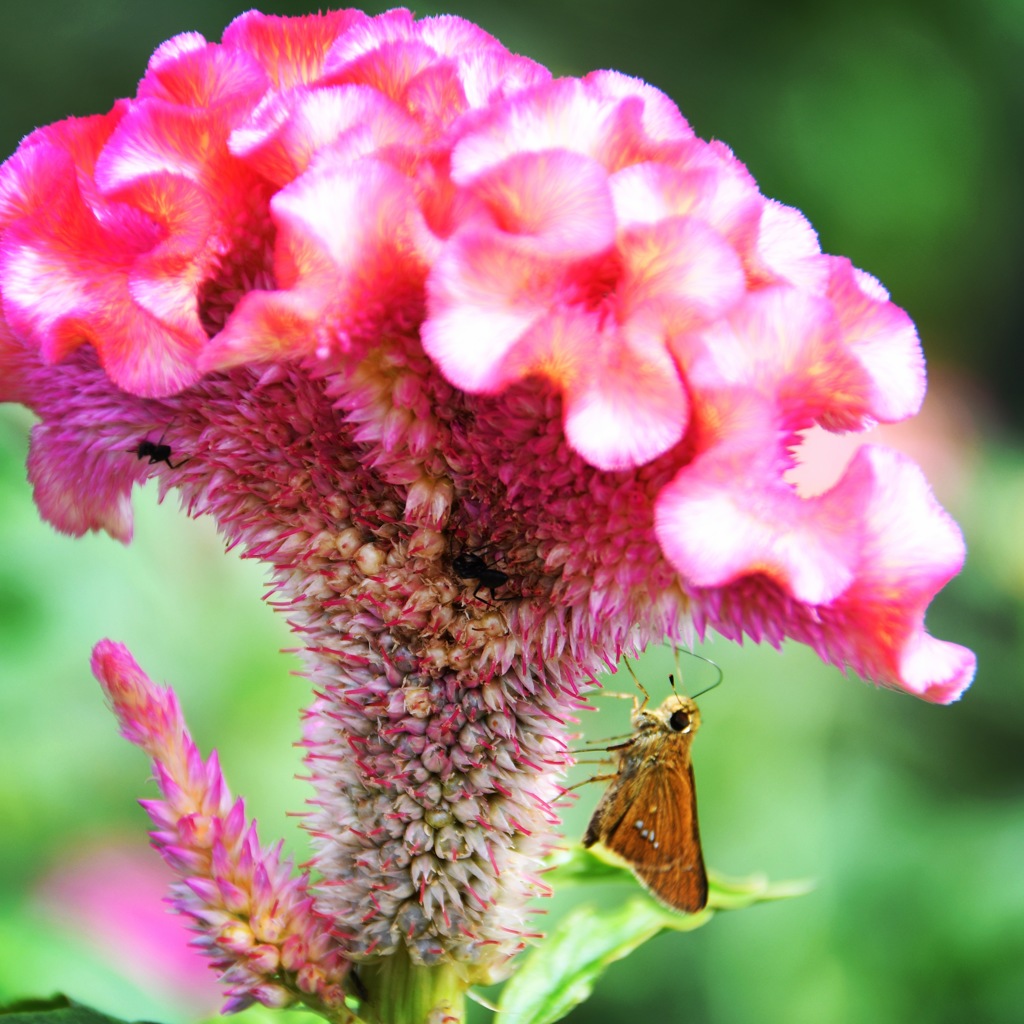 ひと休み (^^♩。