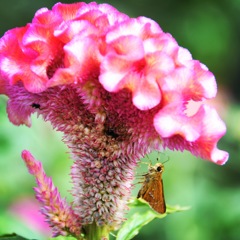 ひと休み (^^♩。 ひと休み (^^♩。