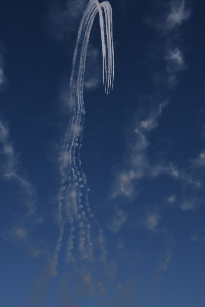 入間基地航空祭 2017 ～✈ 38