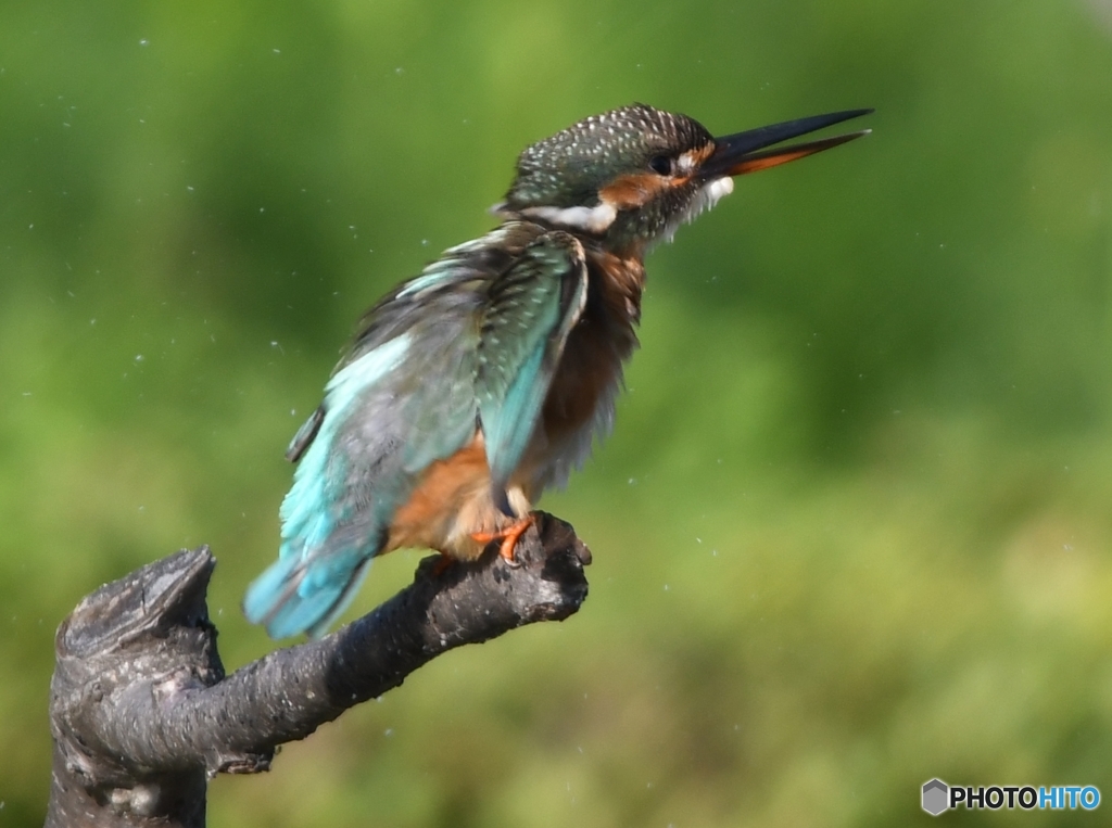ブルブル～ッ 編 その② (''◇'')ゞ。