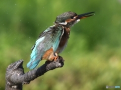 ブルブル～ッ 編 その② (''◇'')ゞ。