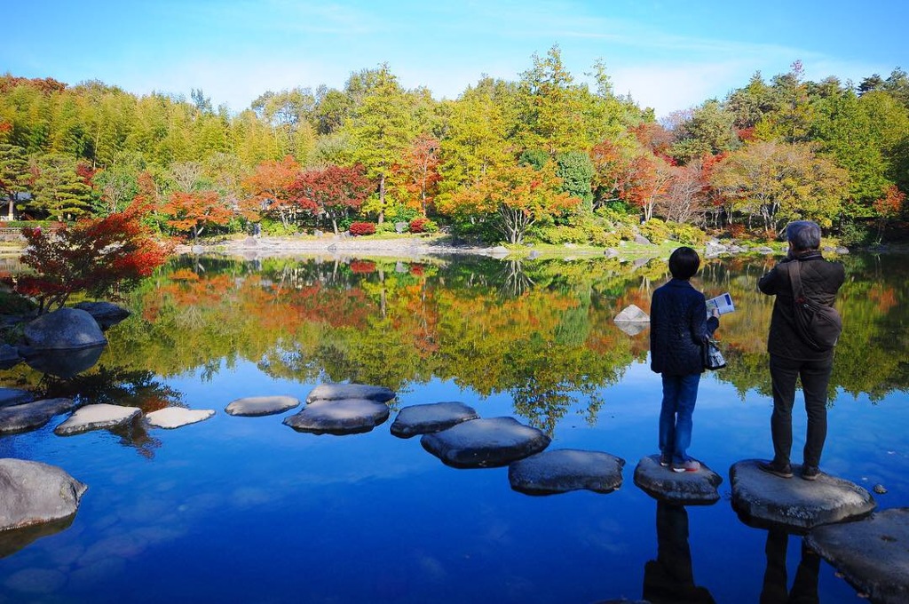 国営昭和記念公園