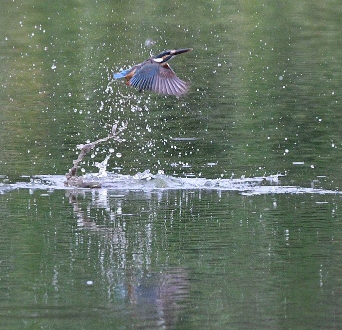 よいしょよいしょ ～♪。