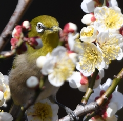 定番ですが (''◇'')ゞ。