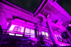 ピンクのお寺 ╰(*´︶`*)╯♡