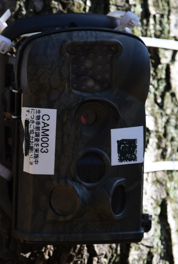 今日は誰と会えるかな～♪　Take 04