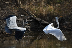 お初ショット ～♬。
