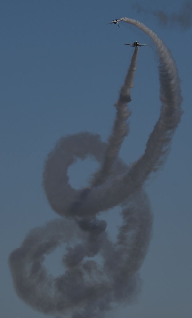 入間基地航空祭 2017 ～✈ 41