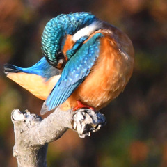 恥ずかしい (*ﾉωﾉ)。