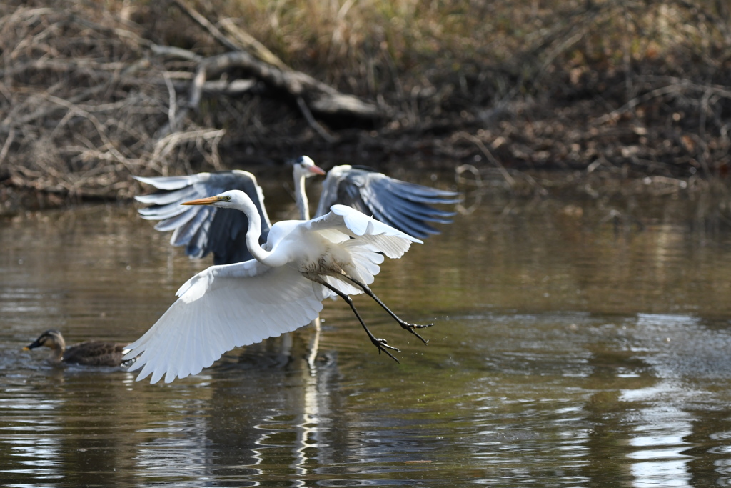 お初ショット ～♬。