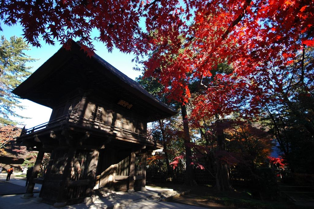 平林寺 #01