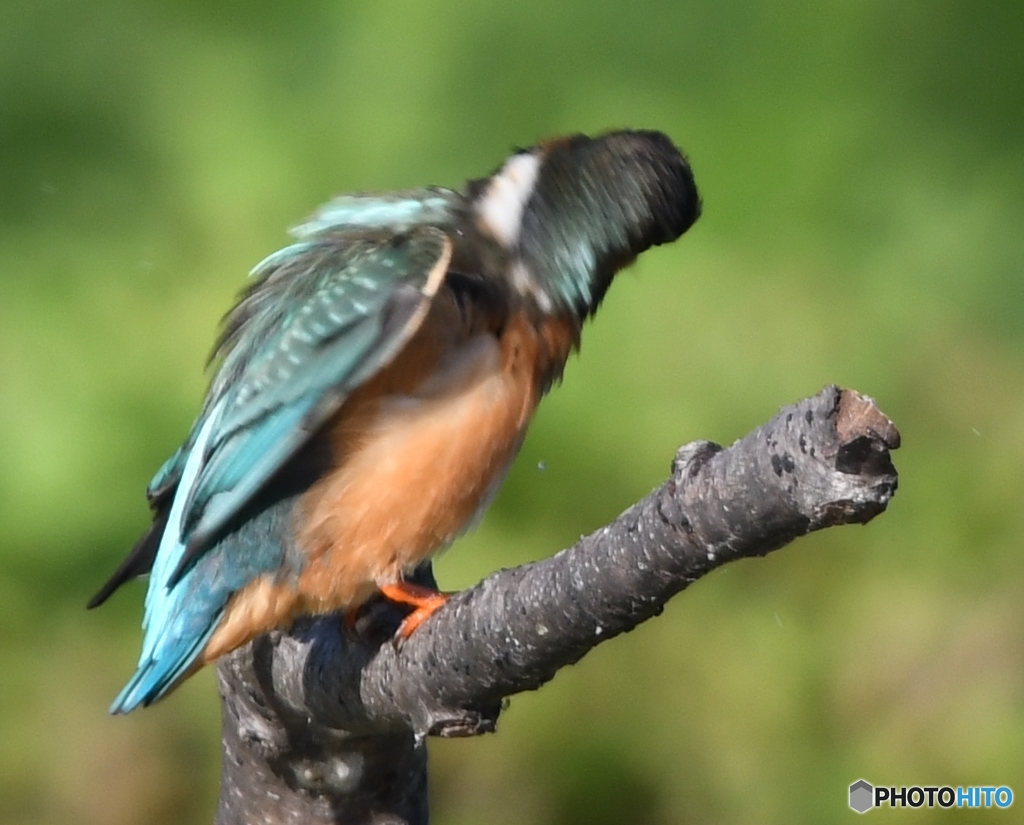 続ブルブル～ッ 編 その① (''◇'')ゞ。