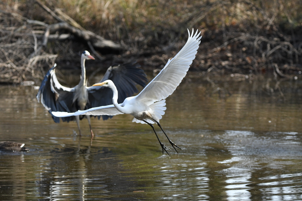 お初ショット ～♬。