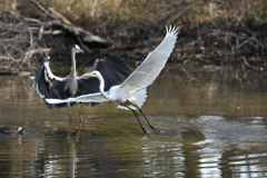お初ショット ～♬。