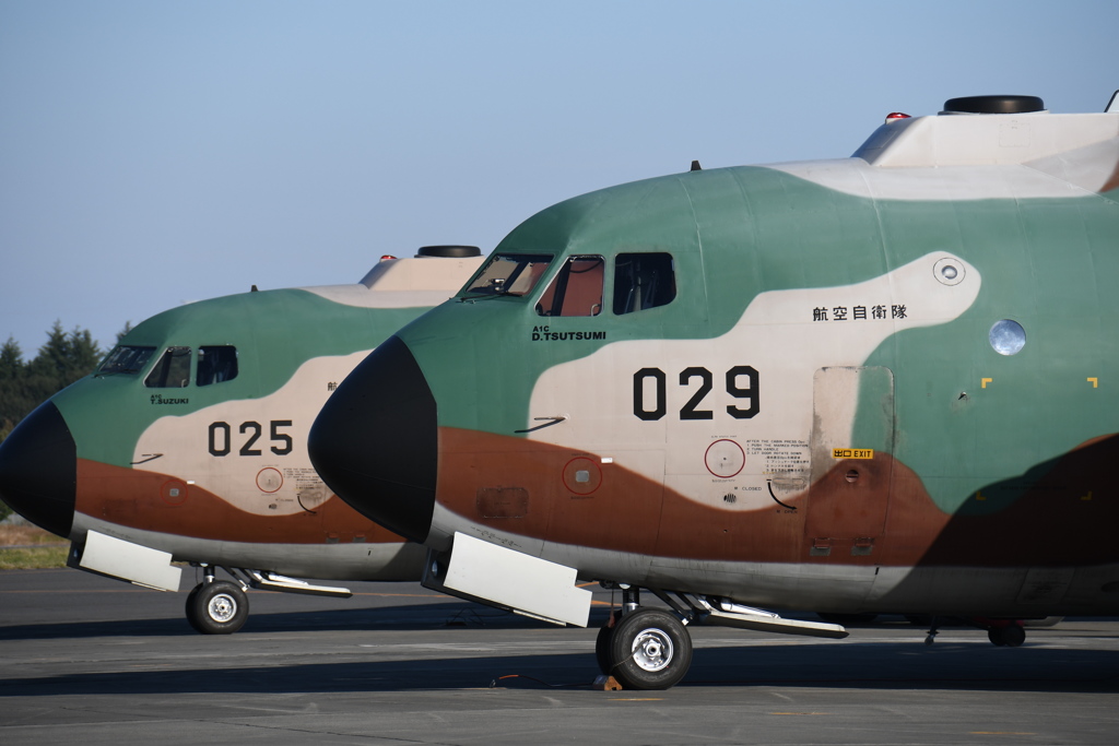 入間基地航空祭 2017 ～✈ 56