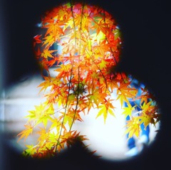 平林寺の紅葉