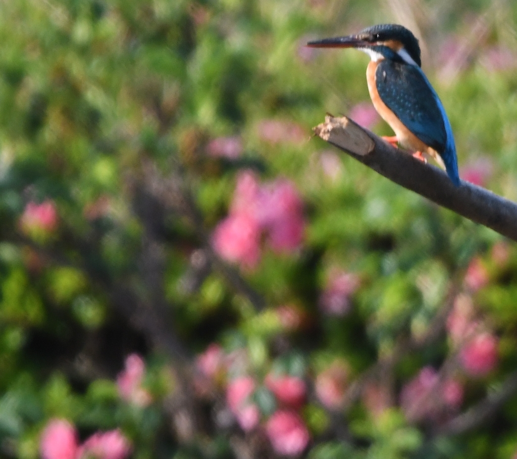 今の君は、ピカピカに光って ～♪。
