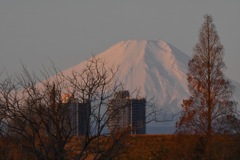 富士山 (^^)/~~~