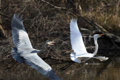 お初ショット ～♬。