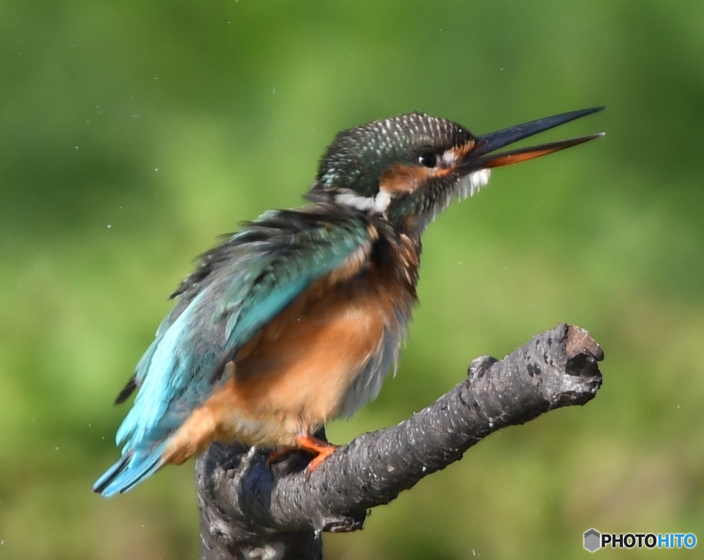 続ブルブル～ッ 編 その③ (''◇'')ゞ。