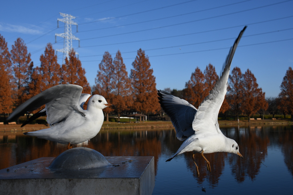 順番に行きます～ (''◇'')ゞ。