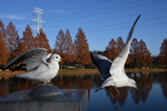 順番に行きます～ (''◇'')ゞ。