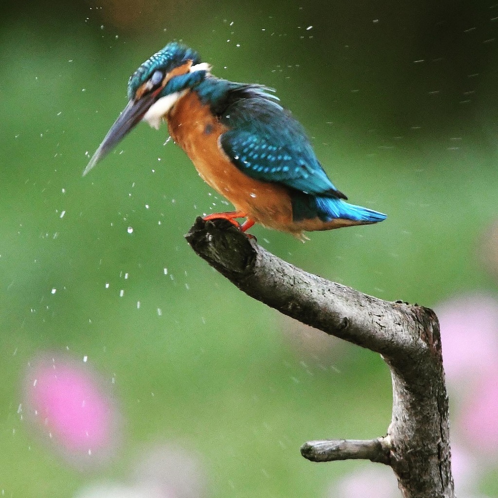 ブルブル～♪。