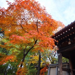 中院 ( ◠‿◠ )