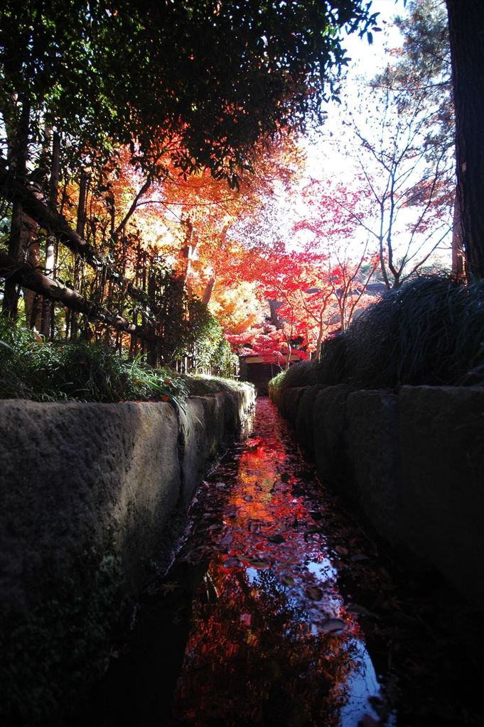 平林寺 #08