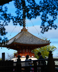 喜多院　(=^・^=)