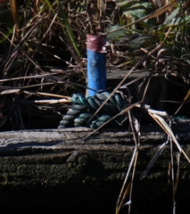 パッと見、間違えます ｱｾｱｾ。