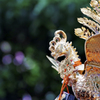 山王祭　６　大鳳