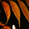 P1070308