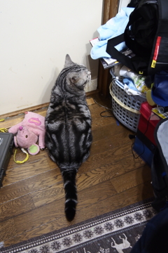 追い出された