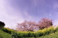 IMGP8758