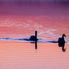 _MG_5759d