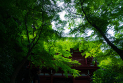 _DSC4622d